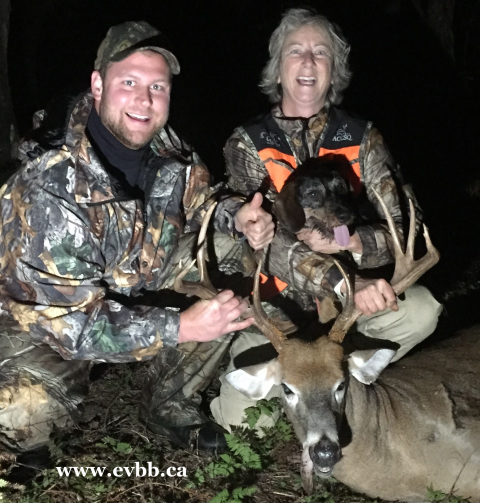 Blood tracking Teckel